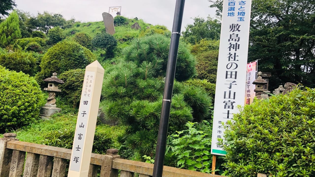田子山富士塚