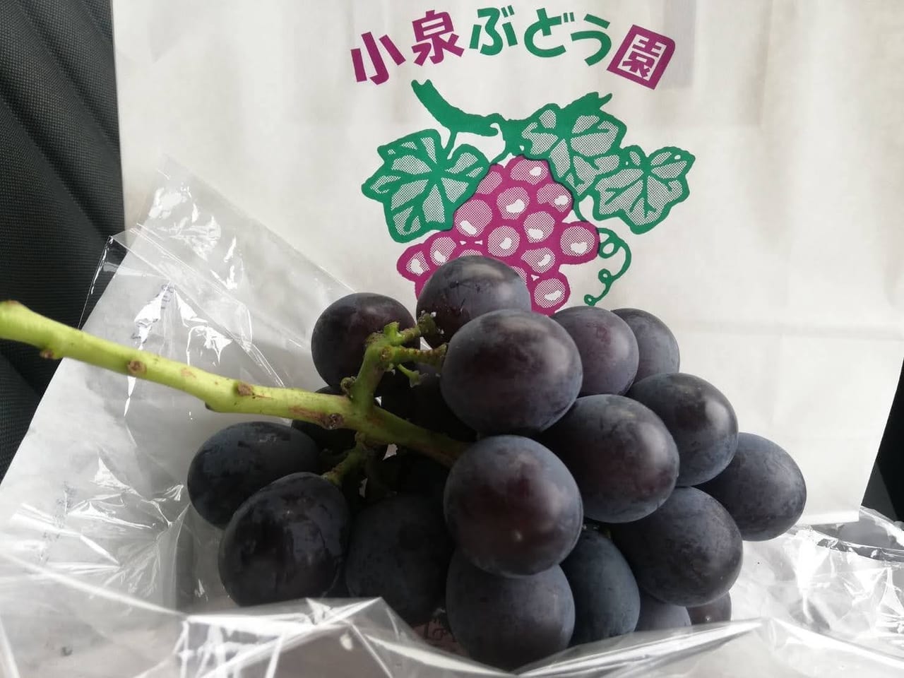 小泉ブドウ園 新座